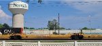 DTTX 74598